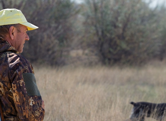 Охота на оленя в октябре: правила, тактика и особенности сезона в Беларуси